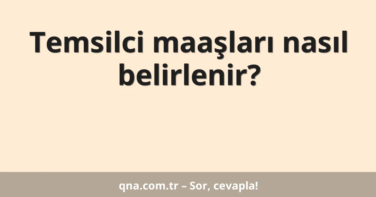 Temsilci maaşları nasıl belirlenir?