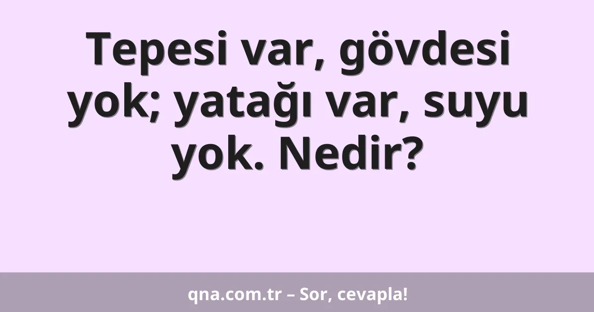 Tepesi var, gövdesi yok; yatağı var, suyu yok. Nedir?