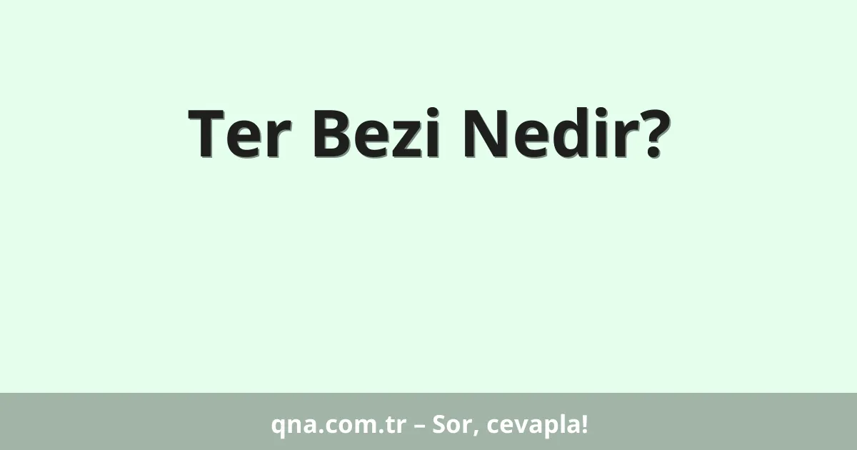 Ter Bezi Nedir?