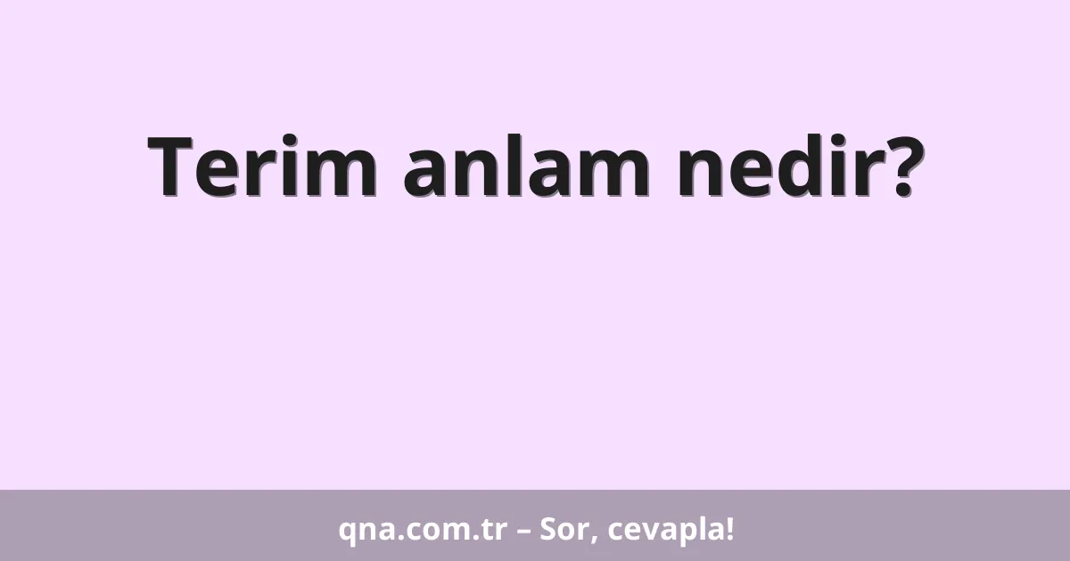 Terim anlam nedir?