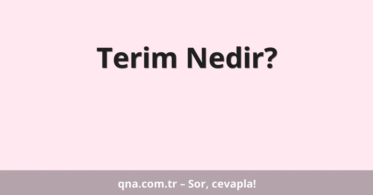 Terim Nedir?