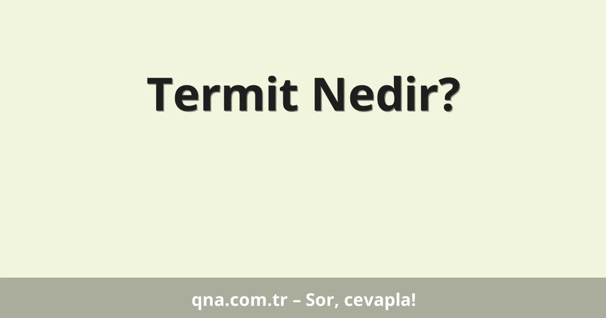Termit Nedir?