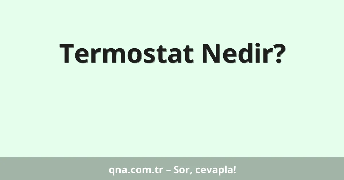 Termostat Nedir?