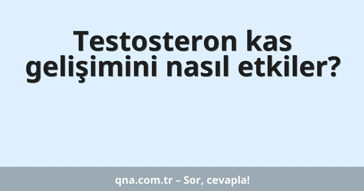 Testosteron kas gelişimini nasıl etkiler?