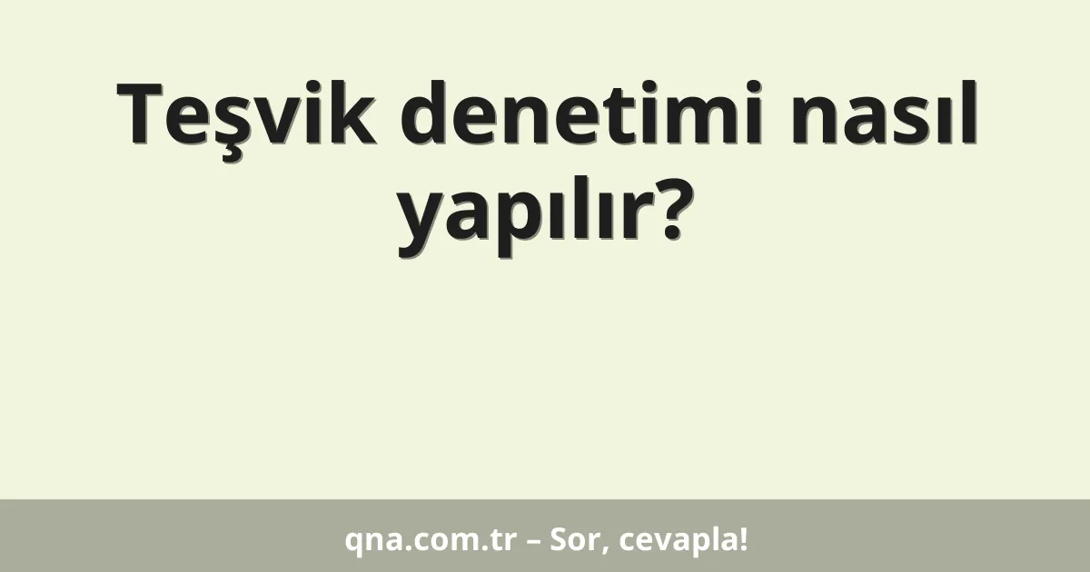 Teşvik denetimi nasıl yapılır?