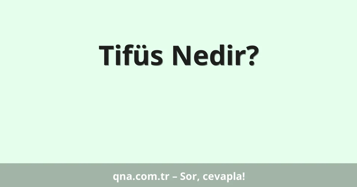 Tifüs Nedir?