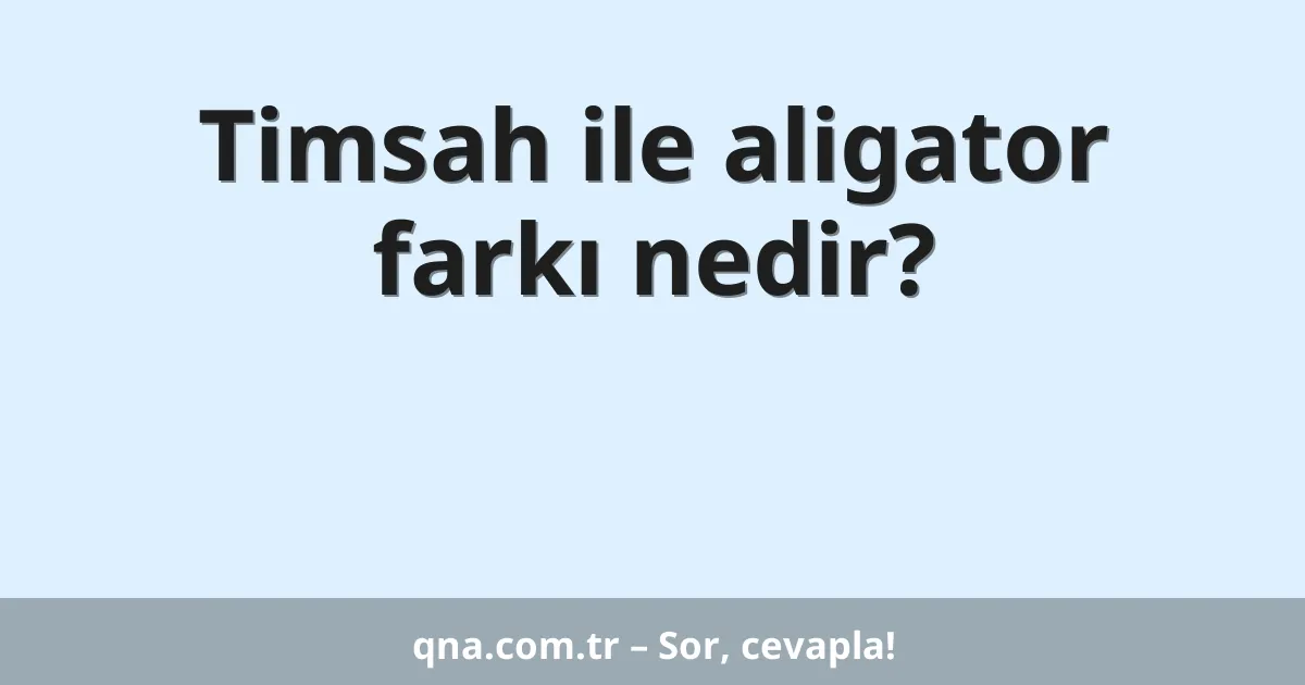 Timsah ile aligator farkı nedir?