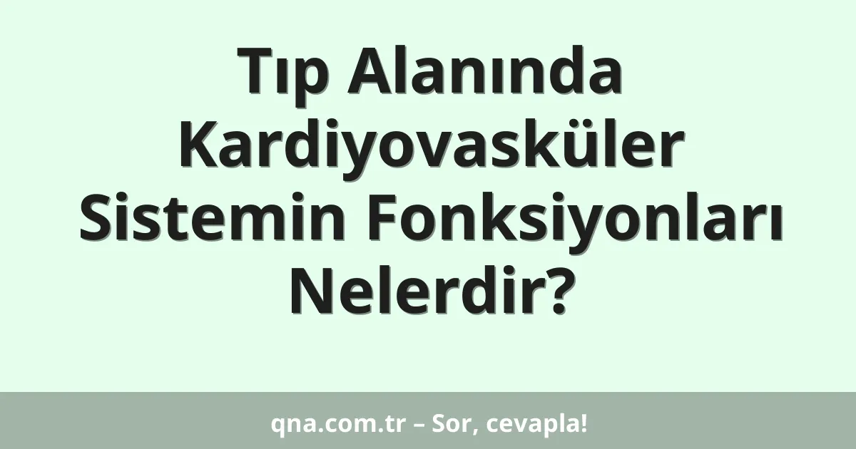 Tıp Alanında Kardiyovasküler Sistemin Fonksiyonları Nelerdir?