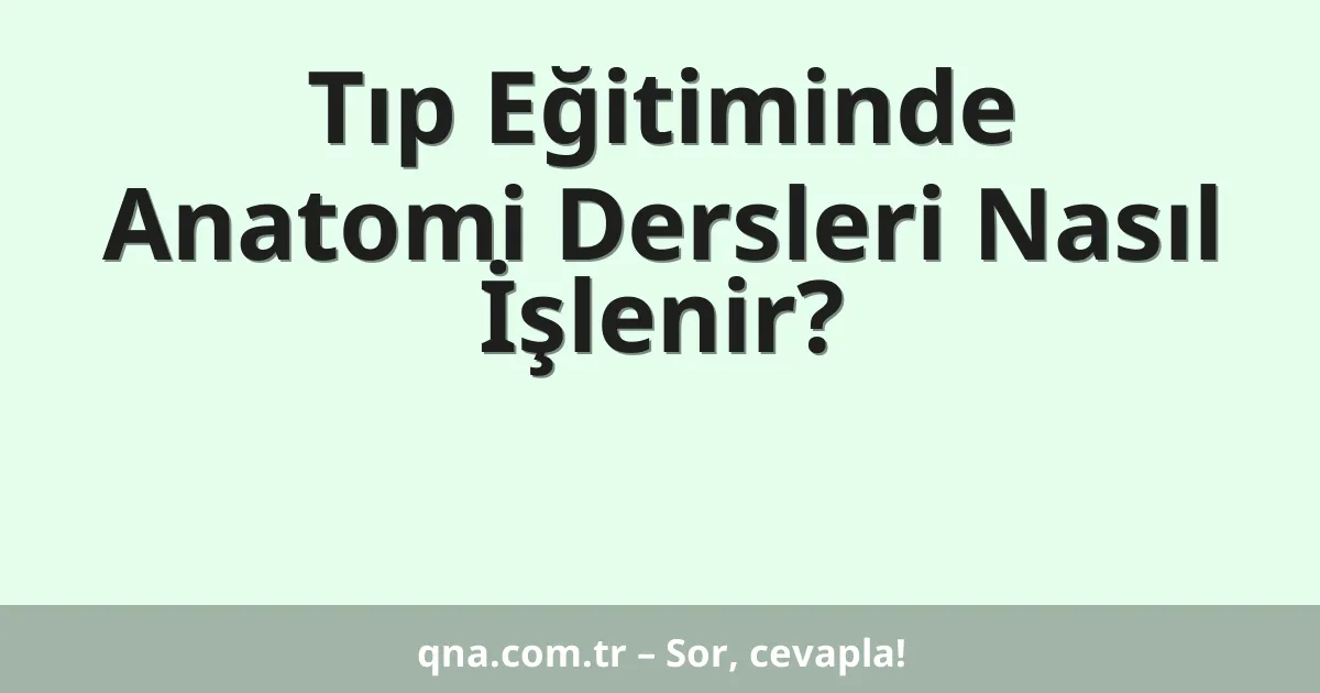 Tıp Eğitiminde Anatomi Dersleri Nasıl İşlenir?
