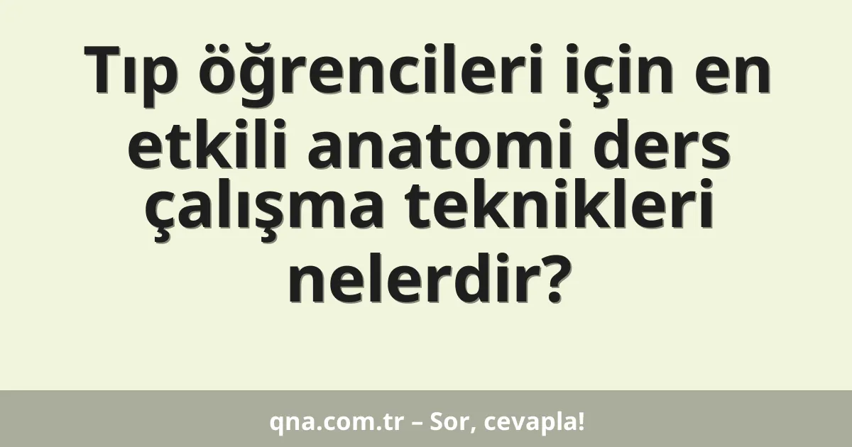 Tıp öğrencileri için en etkili anatomi ders çalışma teknikleri nelerdir?