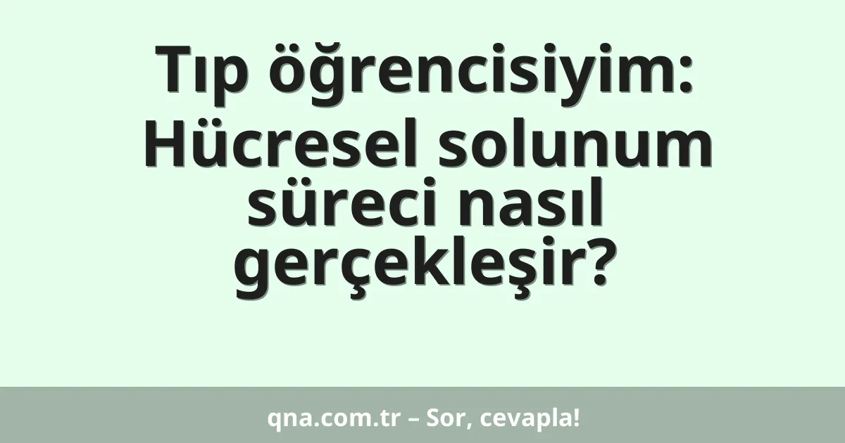 Tıp öğrencisiyim: Hücresel solunum süreci nasıl gerçekleşir?