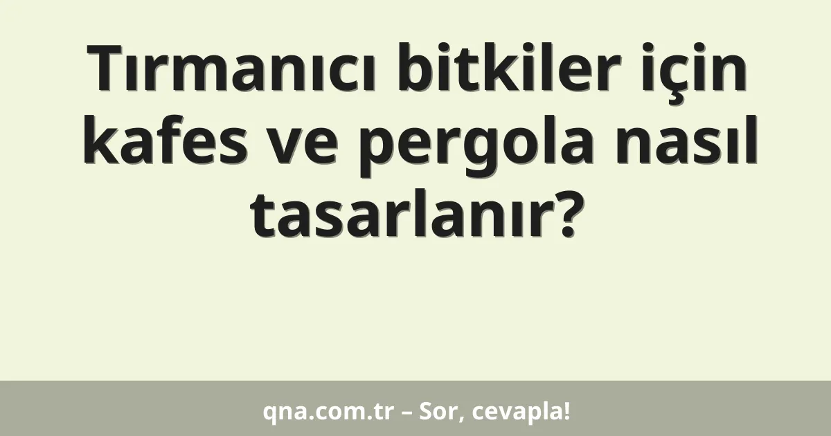 Tırmanıcı bitkiler için kafes ve pergola nasıl tasarlanır?