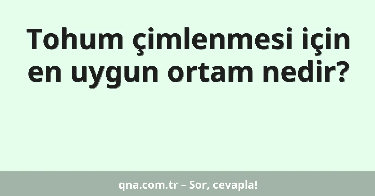 Tohum çimlenmesi için en uygun ortam nedir?