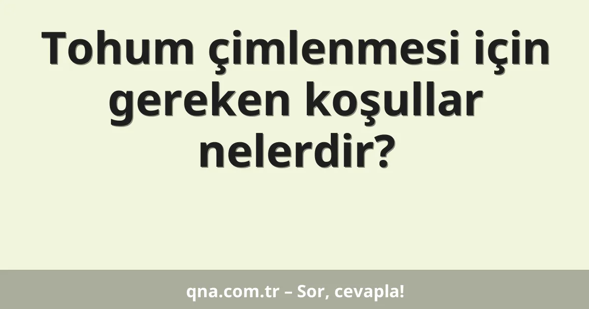 Tohum çimlenmesi için gereken koşullar nelerdir?