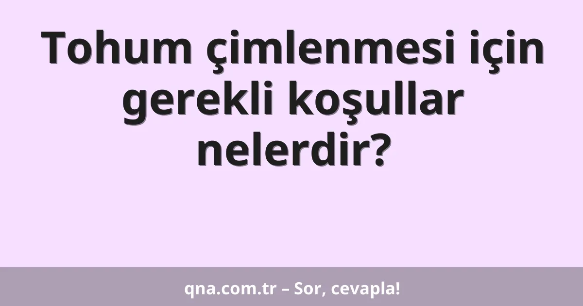 Tohum çimlenmesi için gerekli koşullar nelerdir?