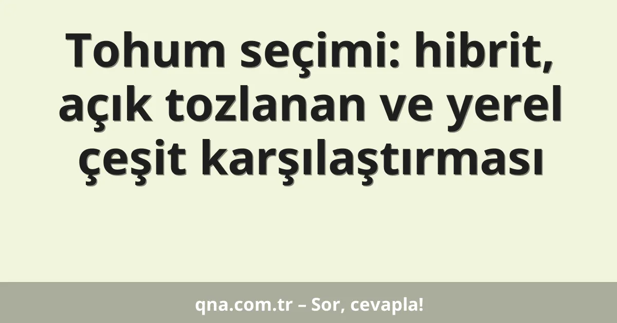 Tohum seçimi: hibrit, açık tozlanan ve yerel çeşit karşılaştırması