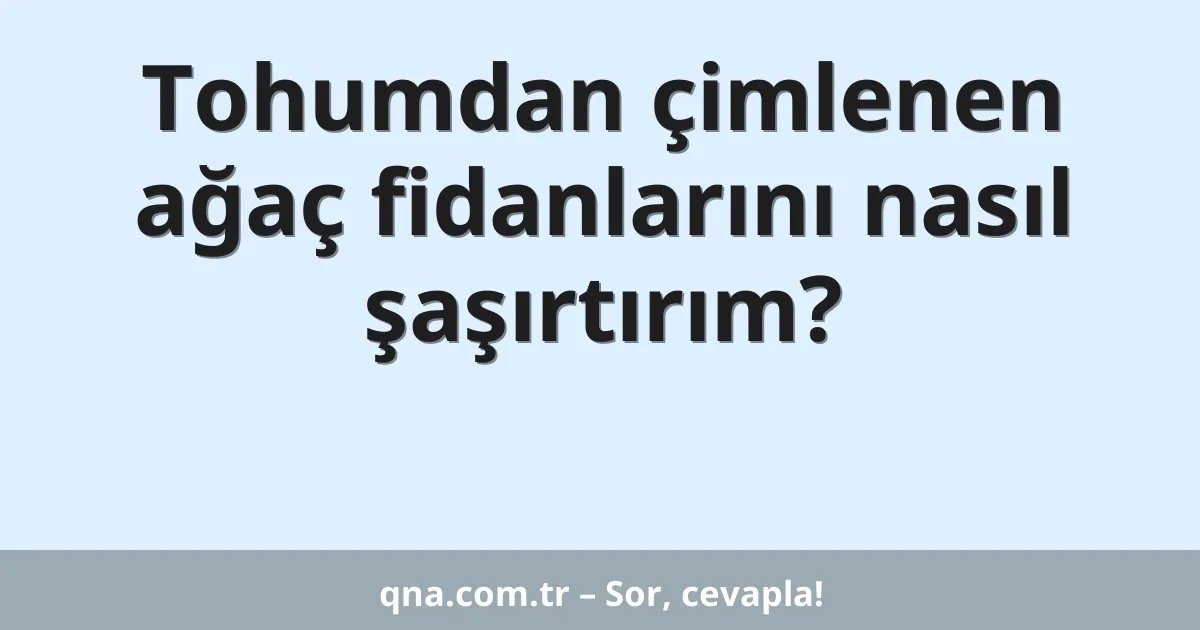Tohumdan çimlenen ağaç fidanlarını nasıl şaşırtırım?