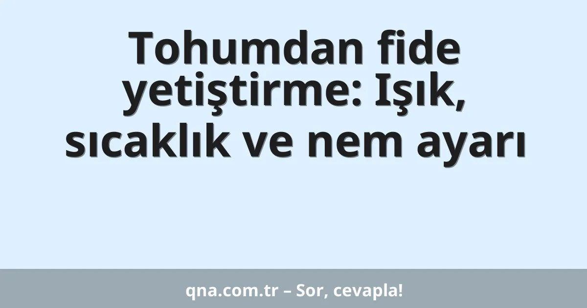 Tohumdan fide yetiştirme: Işık, sıcaklık ve nem ayarı