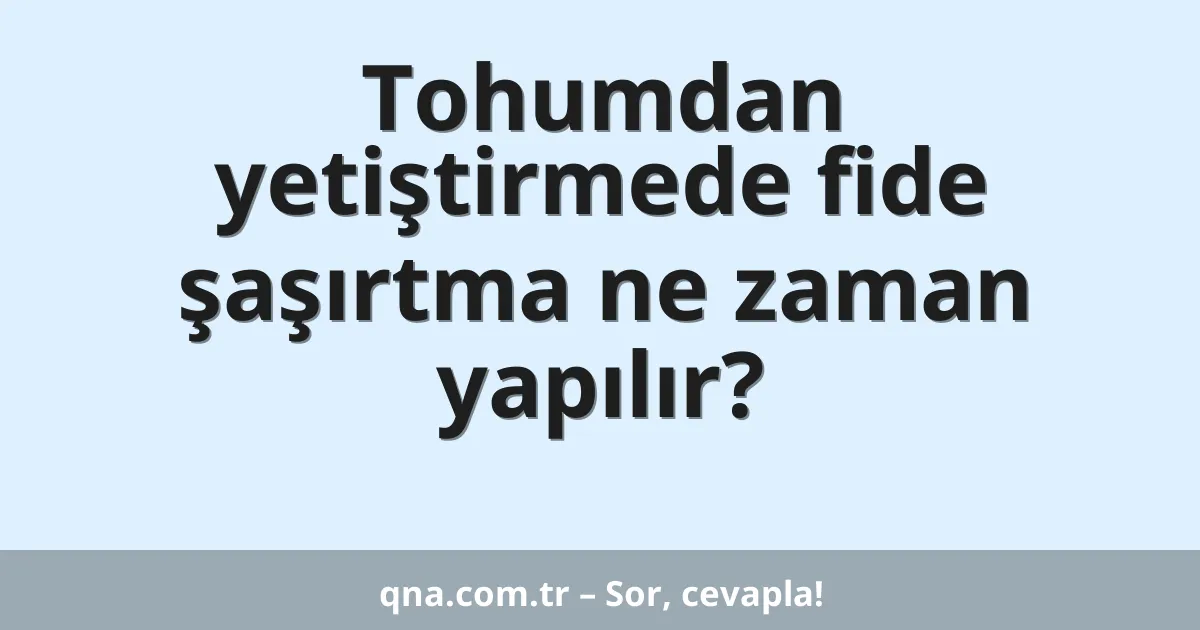 Tohumdan yetiştirmede fide şaşırtma ne zaman yapılır?