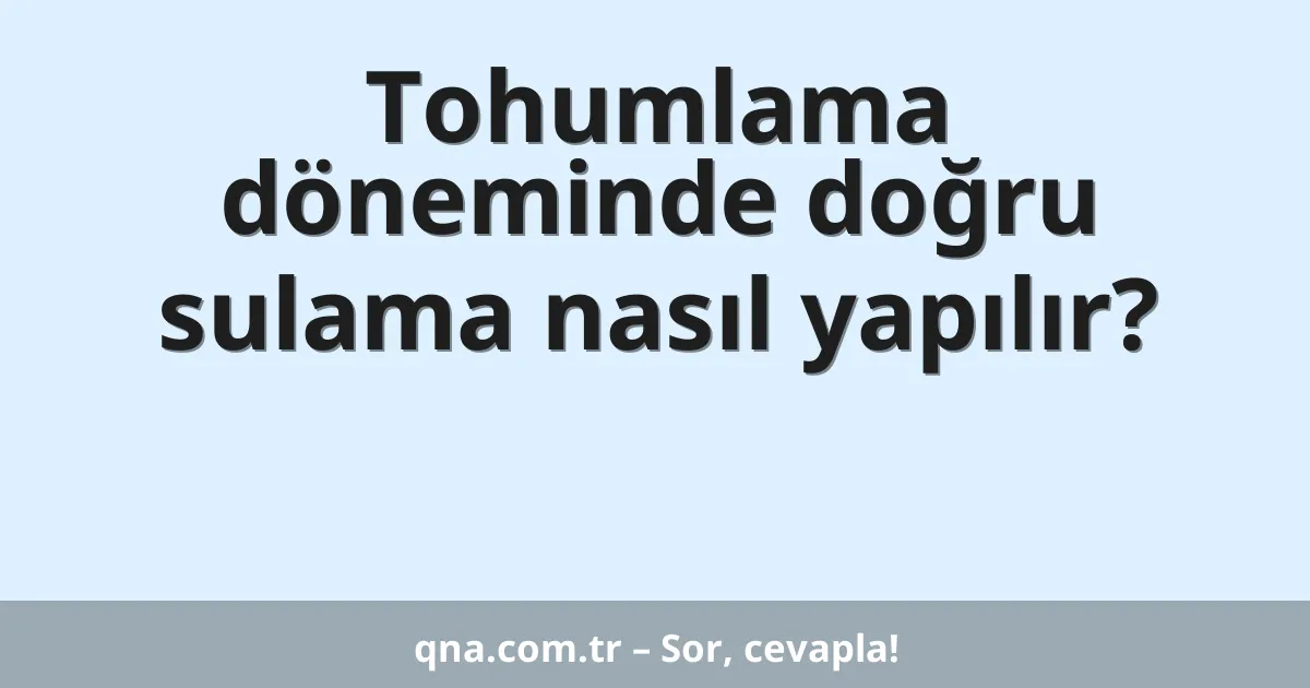 Tohumlama döneminde doğru sulama nasıl yapılır?
