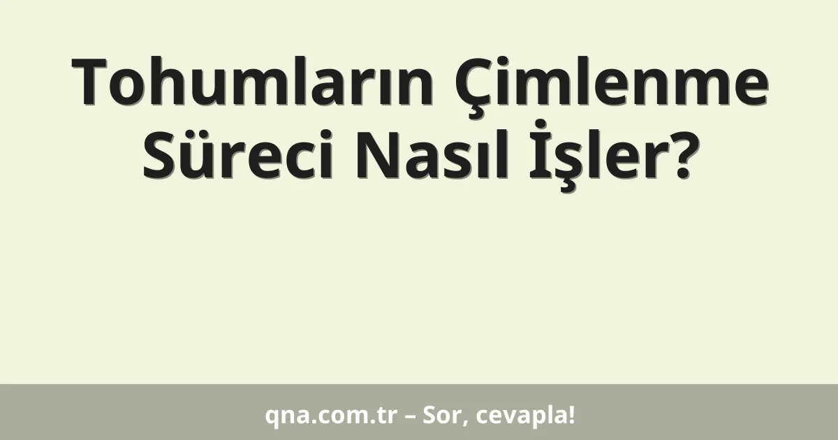 Tohumların Çimlenme Süreci Nasıl İşler?
