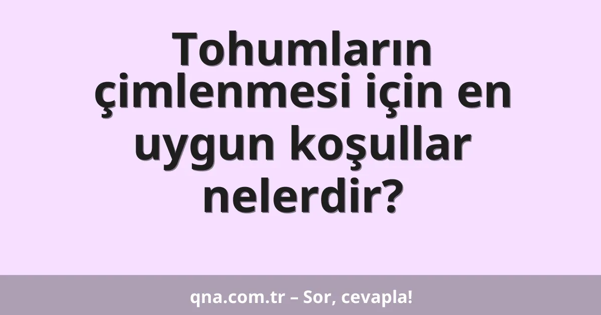 Tohumların çimlenmesi için en uygun koşullar nelerdir?