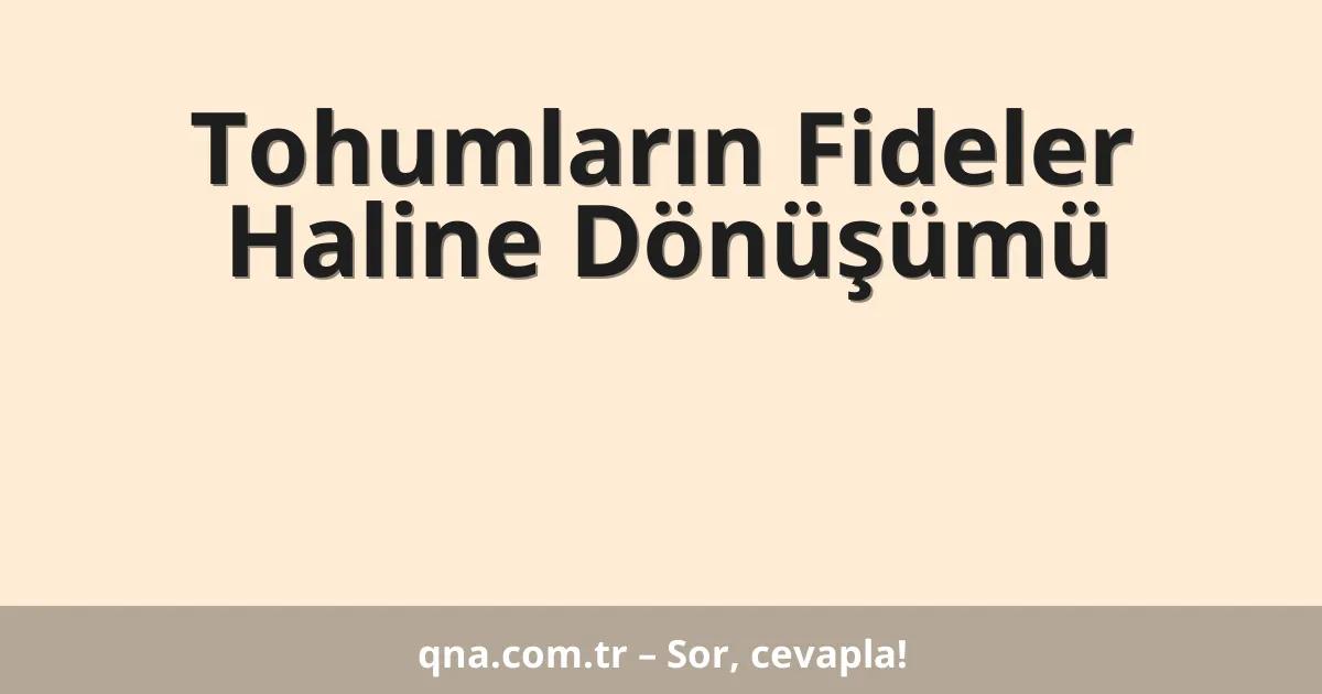 Tohumların fideye dönüşüm süreci nasıl gerçekleşir?