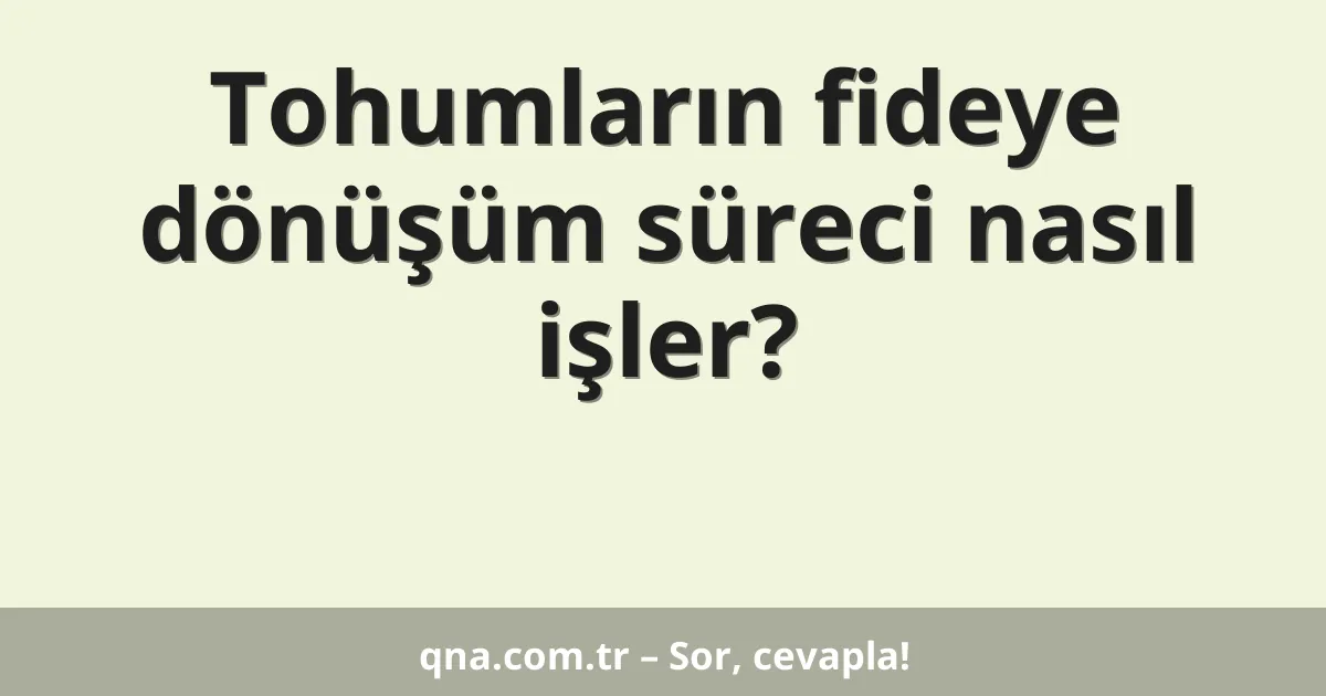 Tohumların fideye dönüşüm süreci nasıl işler?