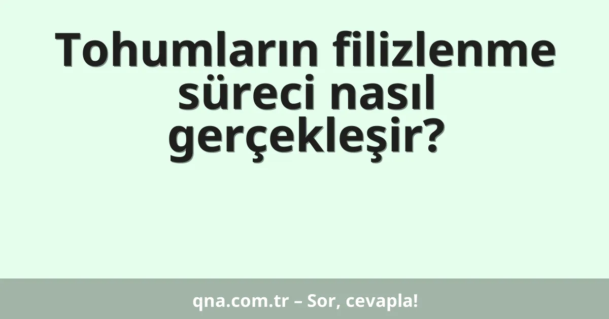 Tohumların filizlenme süreci nasıl gerçekleşir?