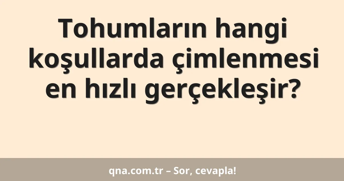 Tohumların hangi koşullarda çimlenmesi en hızlı gerçekleşir?