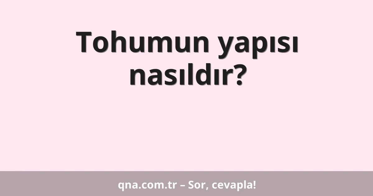Tohumun yapısı nasıldır?