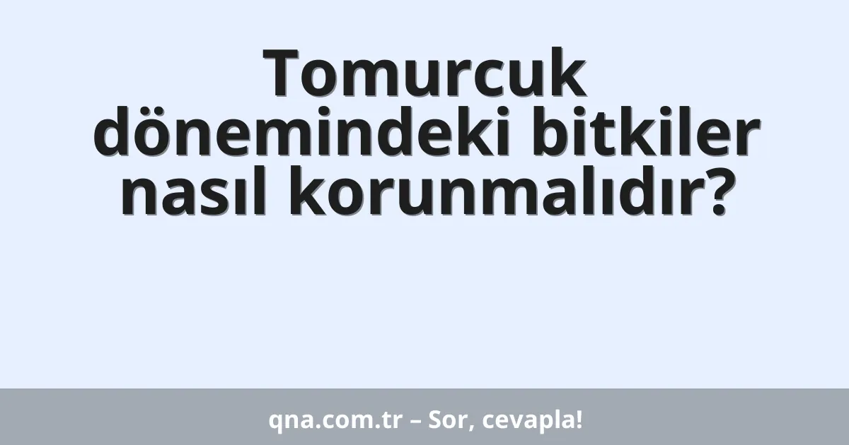 Tomurcuk dönemindeki bitkiler nasıl korunmalıdır?