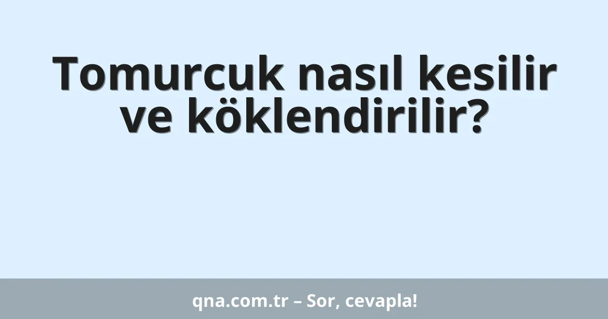 Tomurcuk nasıl kesilir ve köklendirilir?