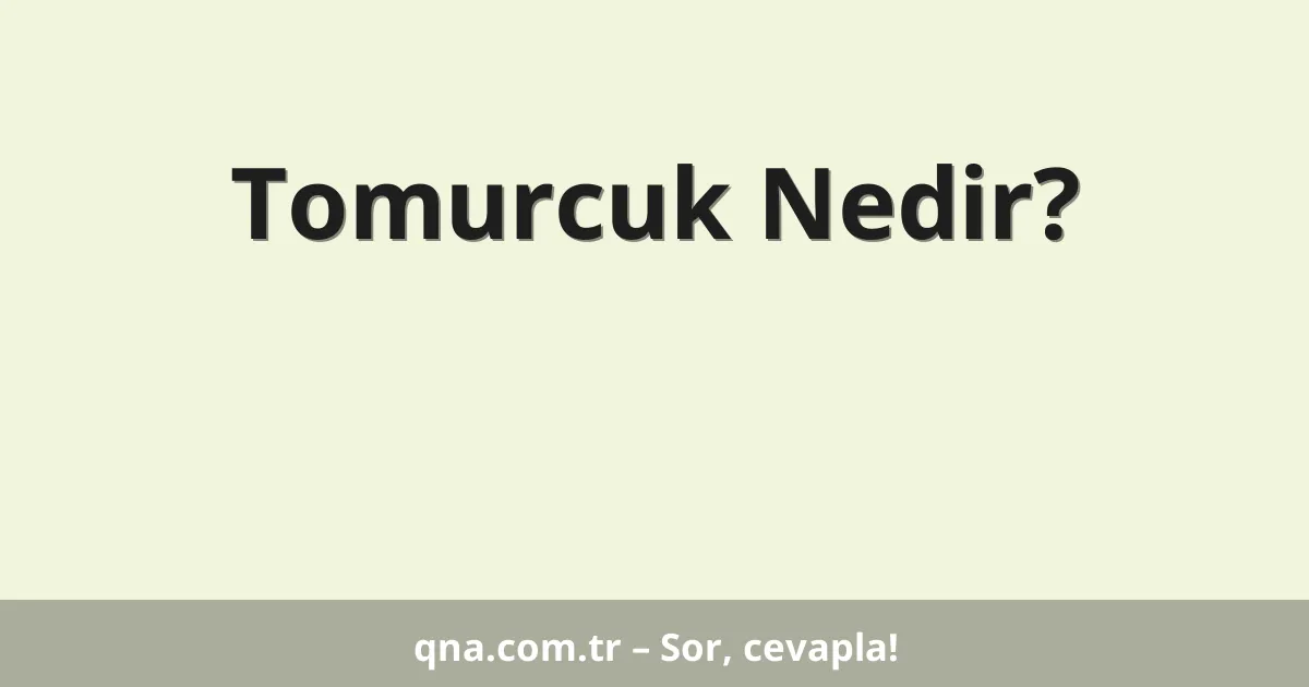 Tomurcuk Nedir?