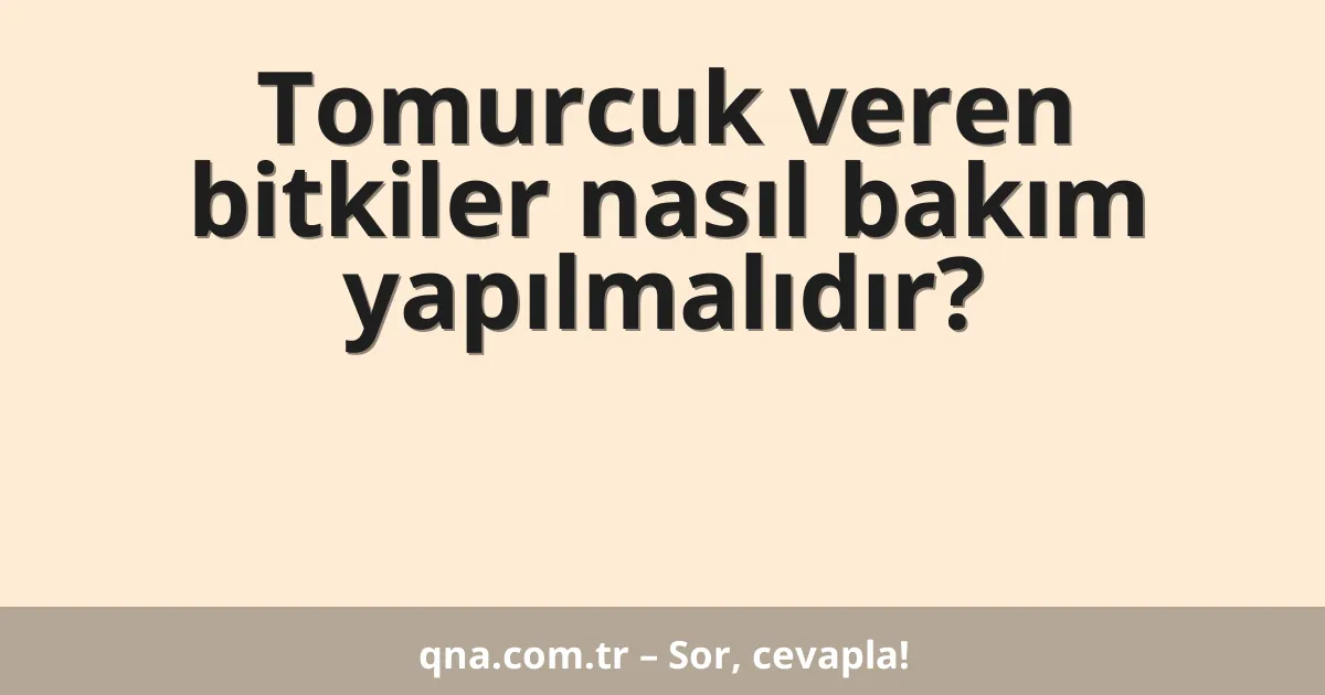 Tomurcuk veren bitkiler nasıl bakım yapılmalıdır?