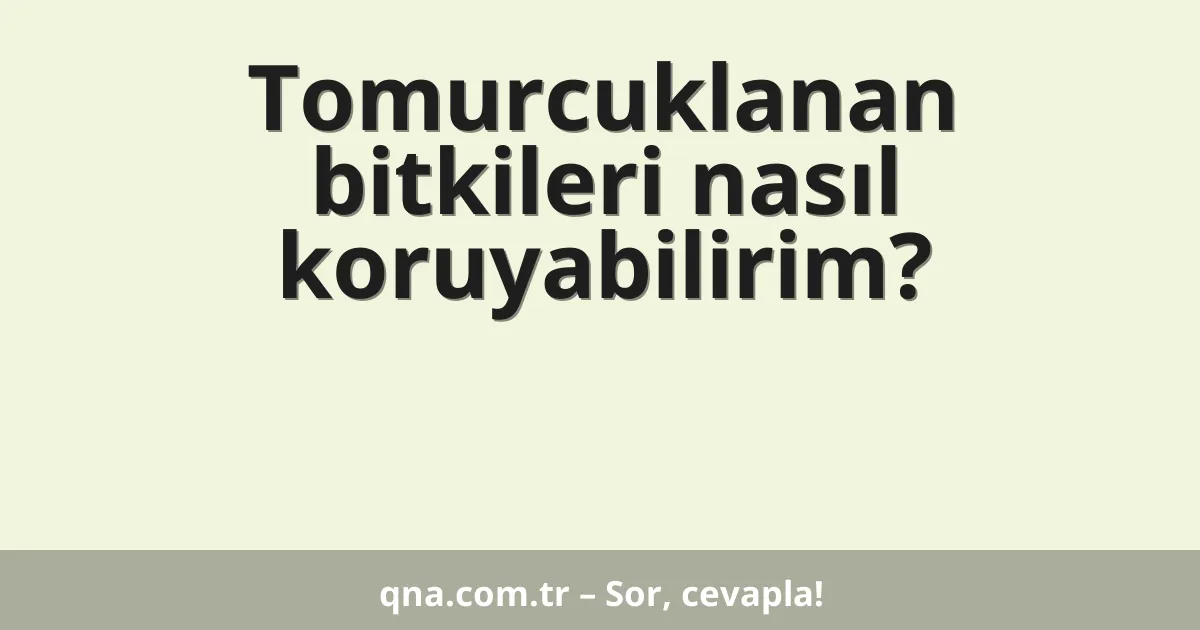 Tomurcuklanan bitkileri nasıl koruyabilirim?