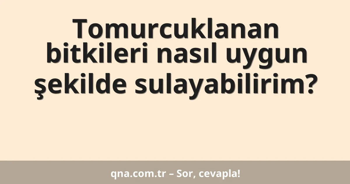 Tomurcuklanan bitkileri nasıl uygun şekilde sulayabilirim?