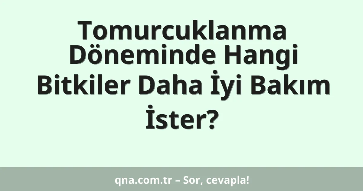 Tomurcuklanma Döneminde Hangi Bitkiler Daha İyi Bakım İster?