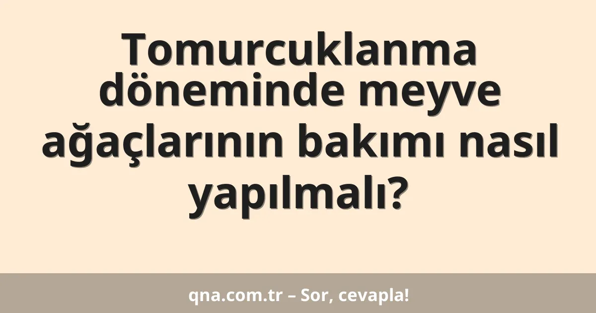 Tomurcuklanma döneminde meyve ağaçlarının bakımı nasıl yapılmalı?