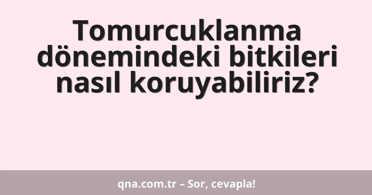 Tomurcuklanma dönemindeki bitkileri nasıl koruyabiliriz?