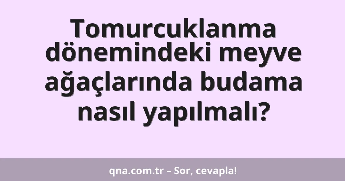 Tomurcuklanma dönemindeki meyve ağaçlarında budama nasıl yapılmalı?