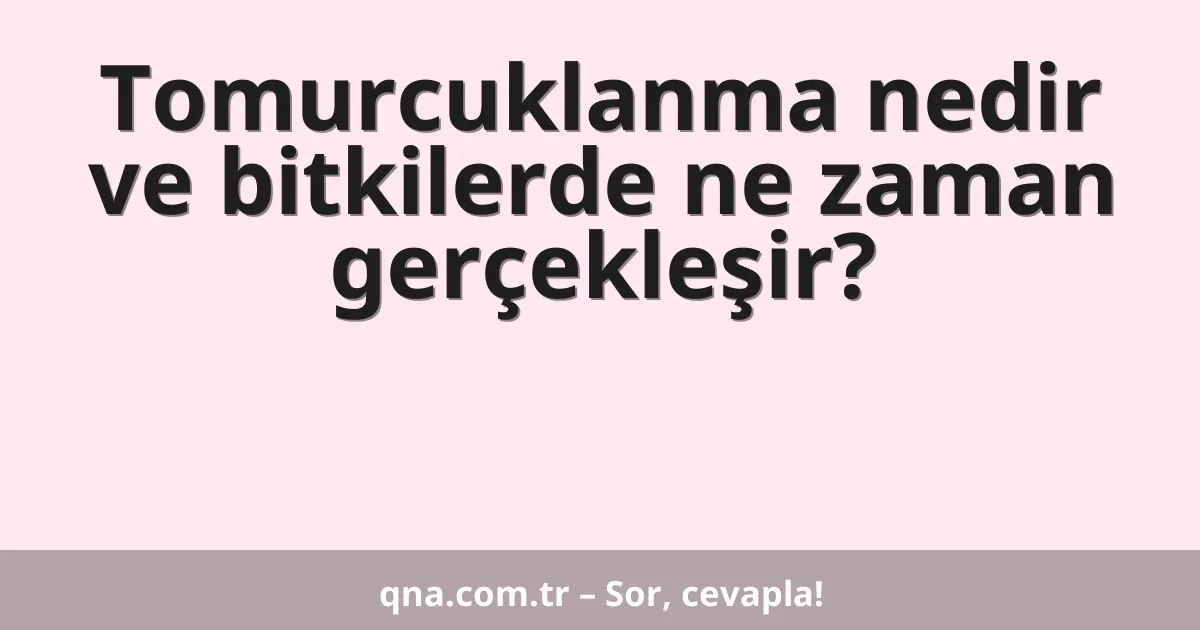 Tomurcuklanma nedir ve bitkilerde ne zaman gerçekleşir?