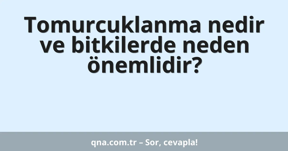 Tomurcuklanma nedir ve bitkilerde neden önemlidir?