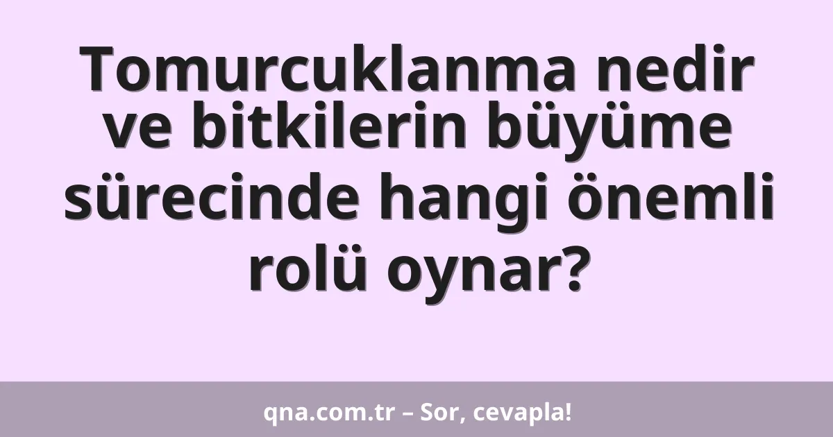 Tomurcuklanma nedir ve bitkilerin büyüme sürecinde hangi önemli rolü oynar?
