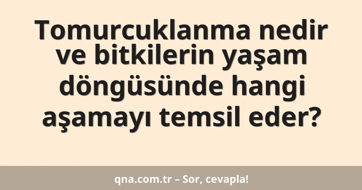 Tomurcuklanma nedir ve bitkilerin yaşam döngüsünde hangi aşamayı temsil eder?