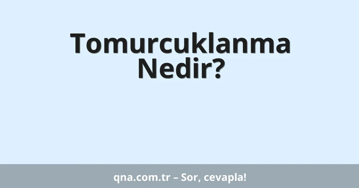 Tomurcuklanma Nedir?