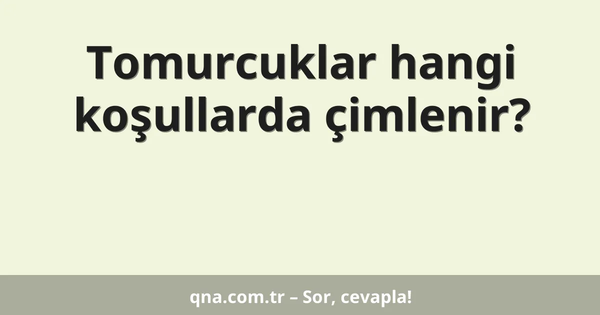 Tomurcuklar hangi koşullarda çimlenir?