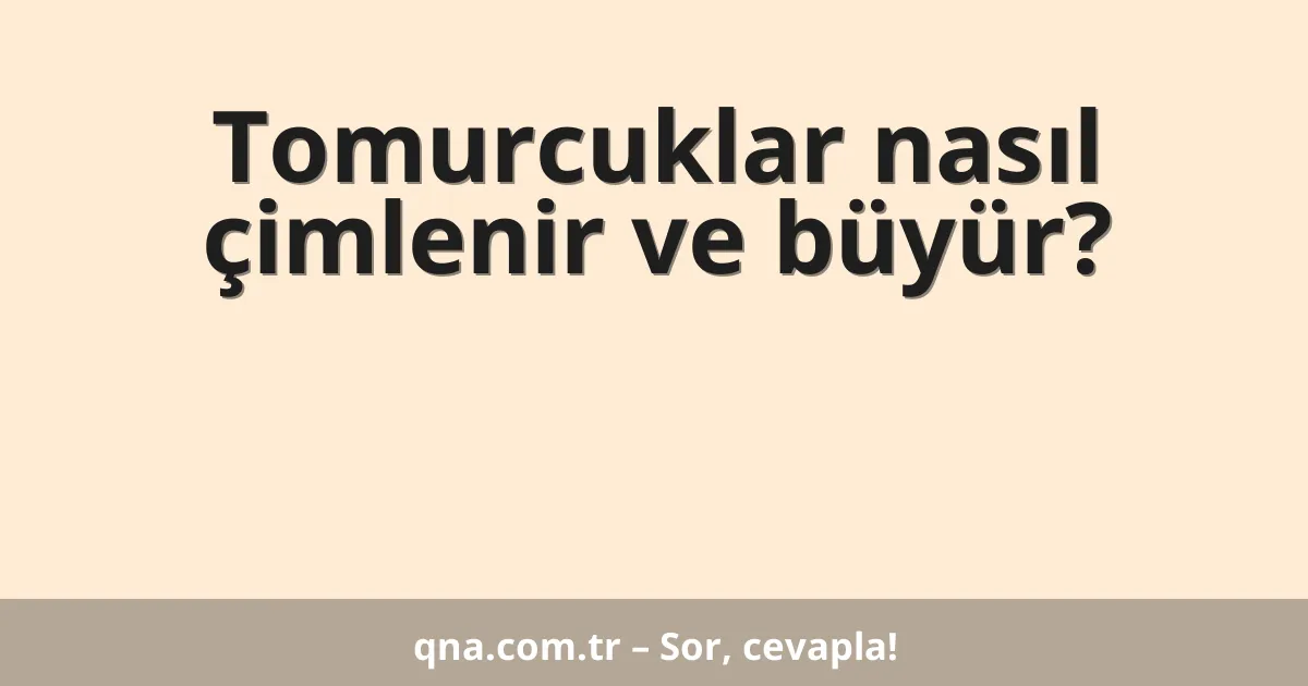 Tomurcuklar nasıl çimlenir ve büyür?