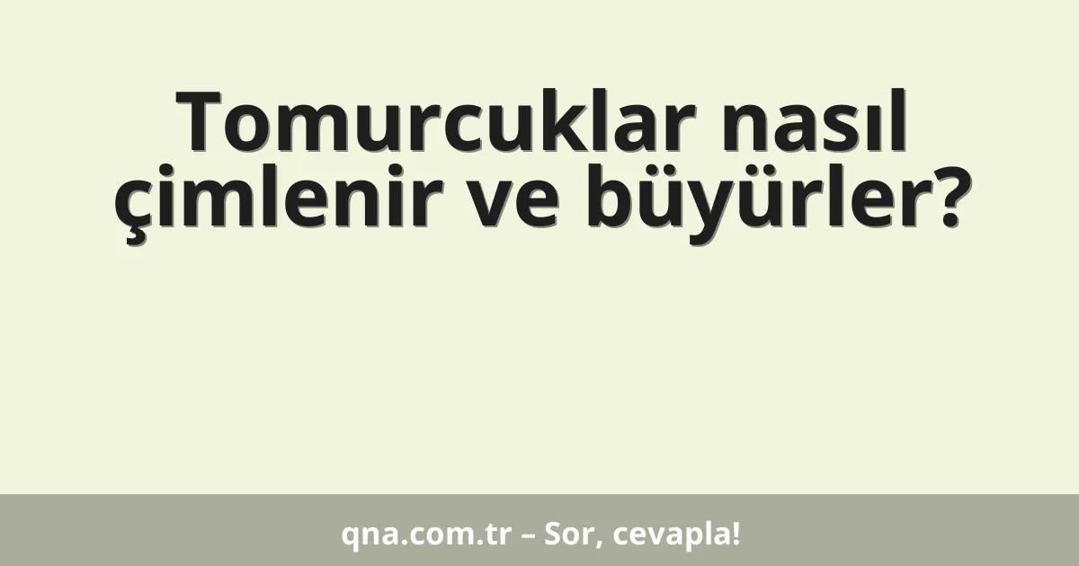 Tomurcuklar nasıl çimlenir ve büyürler?