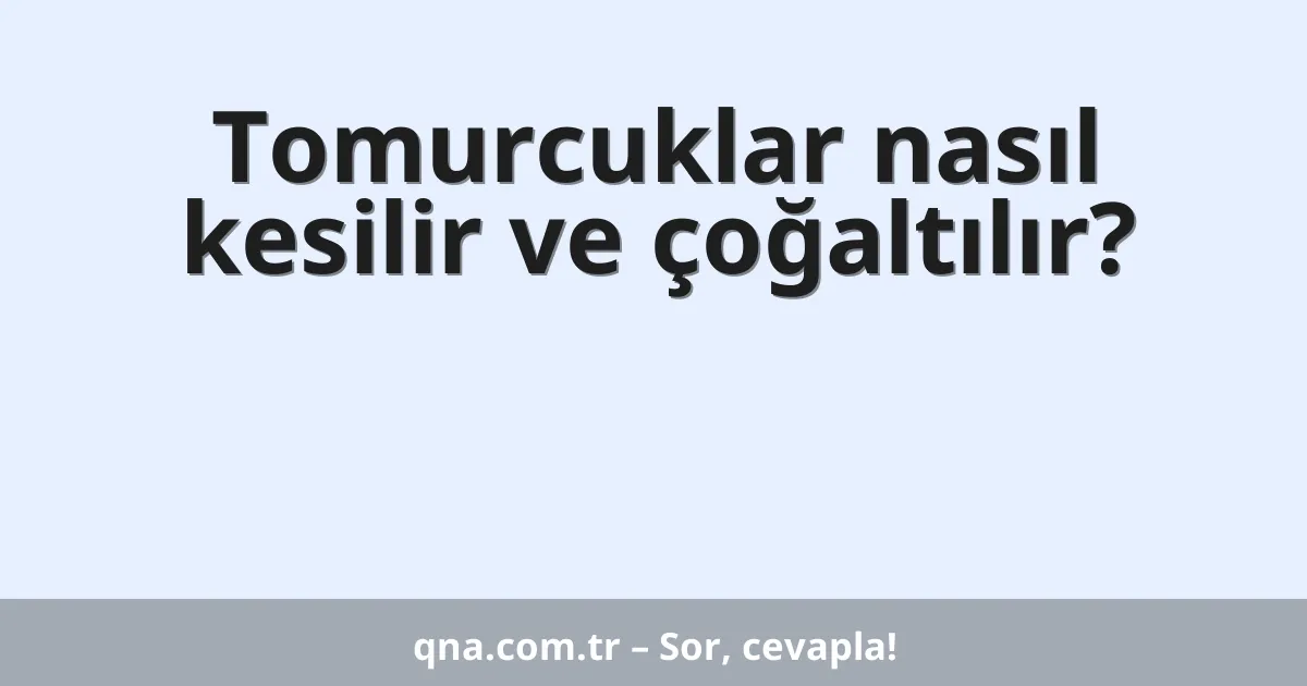 Tomurcuklar nasıl kesilir ve çoğaltılır?